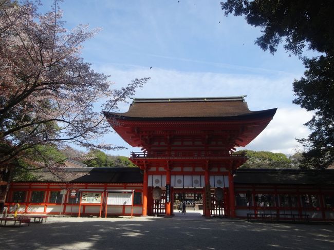 去年も参拝したけど<br /><br />今年も参拝しました。