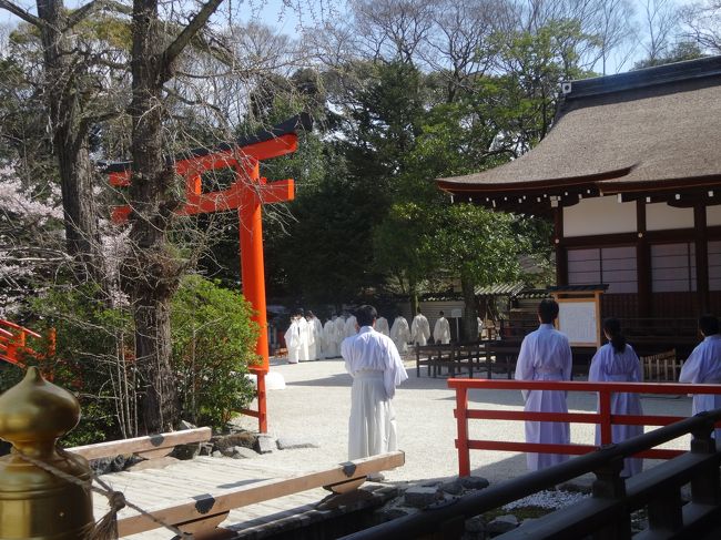 下鴨神社は一乗寺の友人宅から<br /><br />ちょうどいい散歩です。
