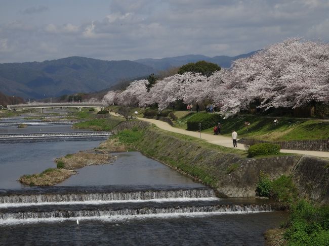 出町柳まで歩いて･･･