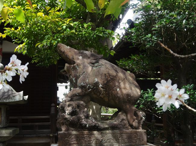 近くの本法寺へ。