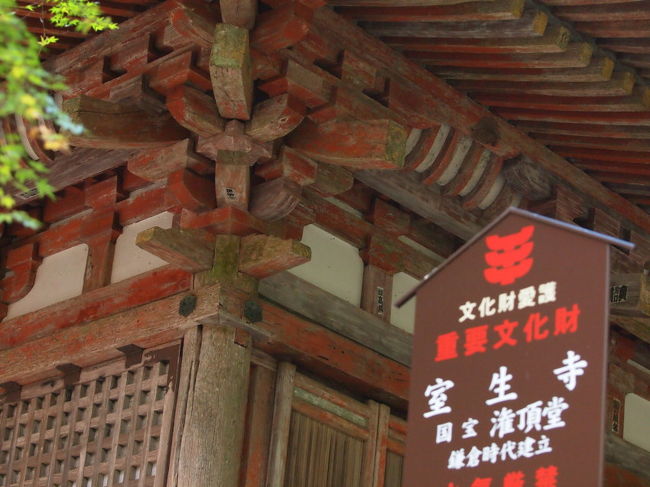 室生寺（女人高野室生寺）へ<br /><br />昭和の写真家：土門拳さんが仏像を熱心に撮影したお寺です。<br />こちらは大勢の参拝者で賑わっています。