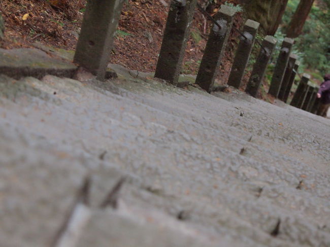 奥の院まで、階段を登ります。　エイホッ