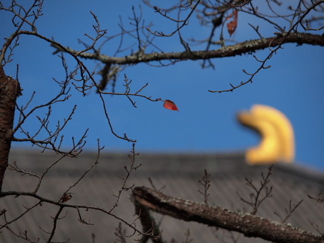 東大寺　　最後の一葉　ガンバレ〜<br />