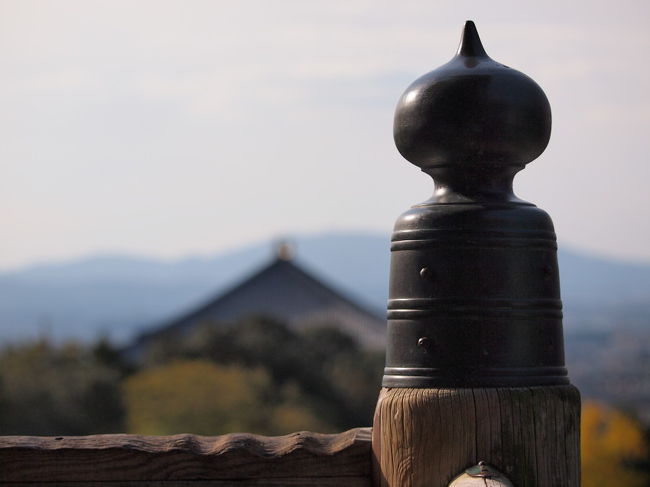 二月堂<br /><br />この手すり、みんなが掴んで磨り減ったの？