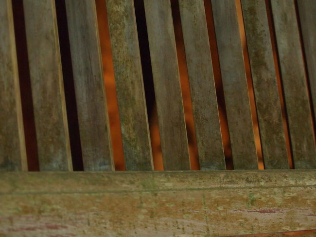 国宝　金堂<br /><br />素晴らしい仏像の数々がありましたが写真は禁止･･･　残念。<br />日本はあちらもこちらも撮影禁止ばかり。<br /><br />参拝者のお邪魔になるからかな？　<br />