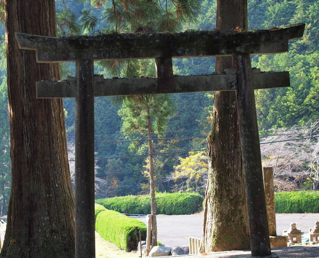 まずは、室生寺のおとなりの竜穴神社へ来ました。<br /><br />杉の大木が林立する景色に、趣きある鳥居が溶け込んでいます。