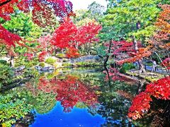 等持院の庭園内には池があります。その池に紅く染まった紅葉が映り込んでまたきれいです。