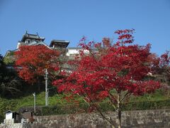 福知山城(福知山市郷土資料館 産業館)
駐車場からお城を見上げました。