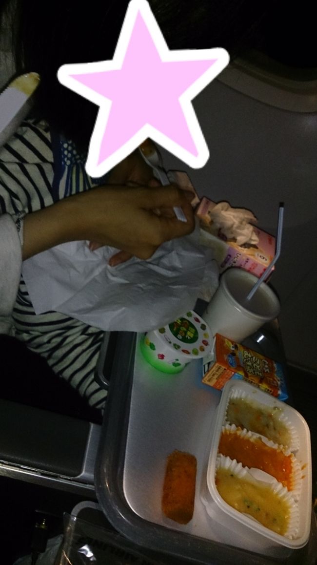 子供の機内食。<br />あまり食欲なかったのかゼリーしか食べませんでした(*´ー｀*)