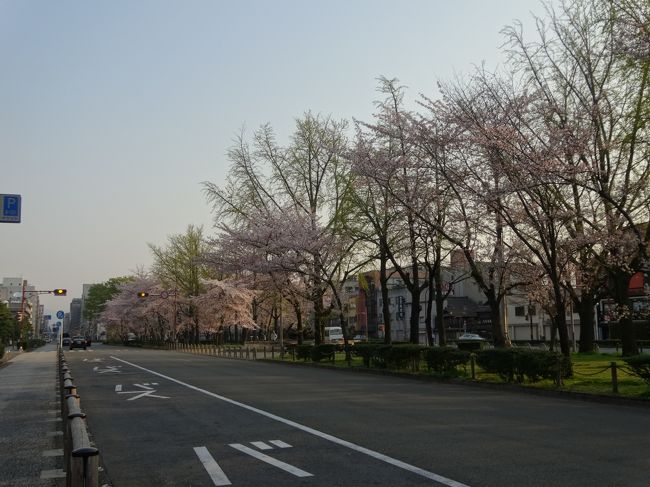 夜行バスで京都また<br /><br />戻り〜