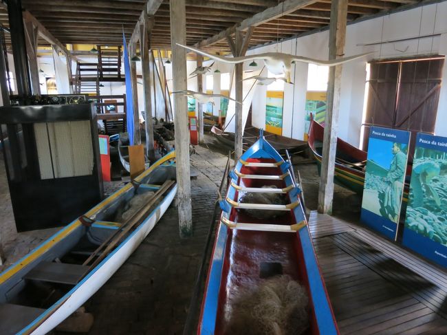 ブラジル各地の漁船が展示されています。