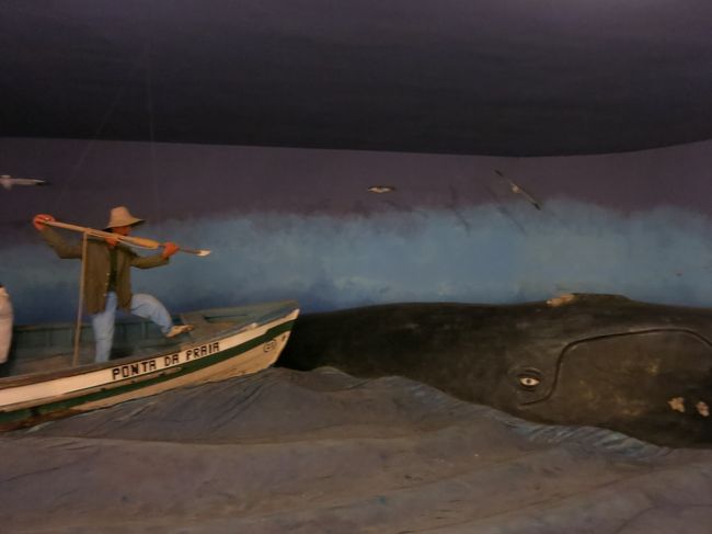 昔はブラジルでも捕鯨をしていたのですね。