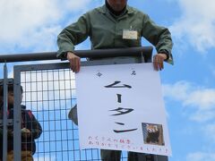 名前は「ムータン」に決定！！！

京都市動物園では、レッサーちゃんたちに、お茶の種類の名前をつけてるとか・・そういう話をしてました。
（うろ覚えで、すみません）