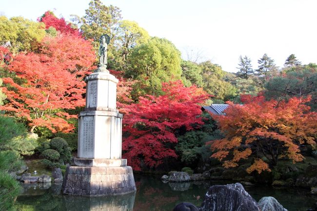 入ってすぐの池泉庭園も紅葉が見事です。<br />