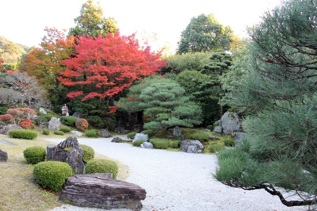 鹿野苑。<br />枯山水に紅一点というのもなかなかおつですね。