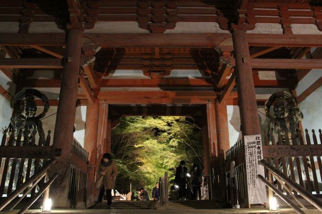 23日(日)。<br />日中は友人の結婚式に参列し、夜は醍醐寺の夜間拝観に行きました。<br />醍醐駅までは電車で行って、そこから徒歩で向かいましたが、結構な上り坂で驚きました。