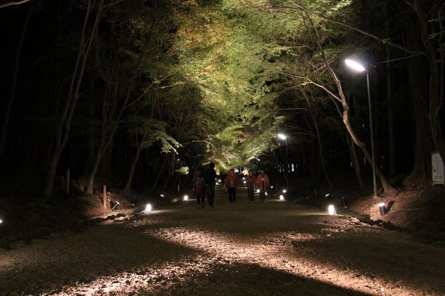 ちょうど三連休の中日なので混んでるかと思いましたが、19時半過ぎに到着したこともあって結構空いてます。