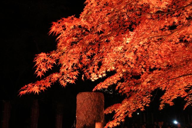 赤過ぎますが、これはこれで良いものです。