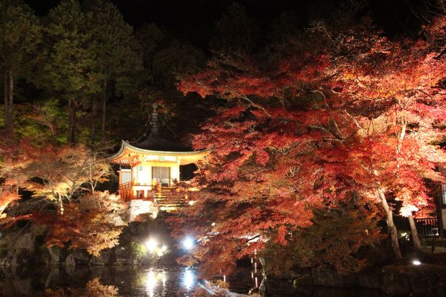 弁天堂。<br />良く雑誌等で見るところです。<br />醍醐寺といったら私の中では「醍醐の花見」なのですが、弁天堂は紅葉の名所だそうで。<br />確かに素晴らしい。