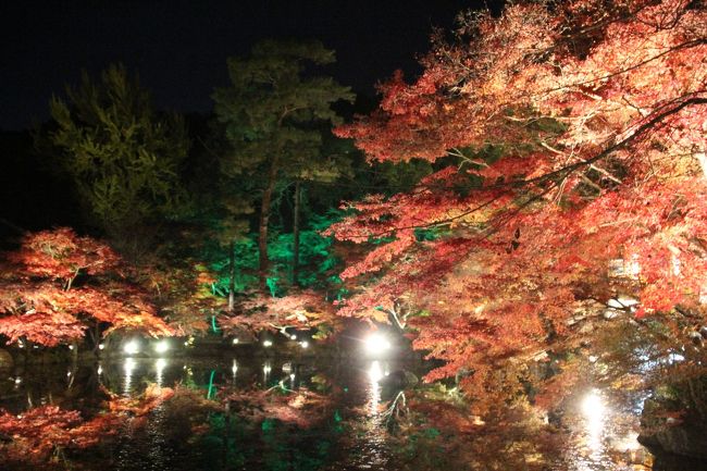 本当にとても綺麗だったんですが、私のセンスと技術力が無いため、素晴らしさをお伝えすることができなくて残念です。<br />せめて三脚があれば・・・いや、三脚があっても変わらないかな・・・