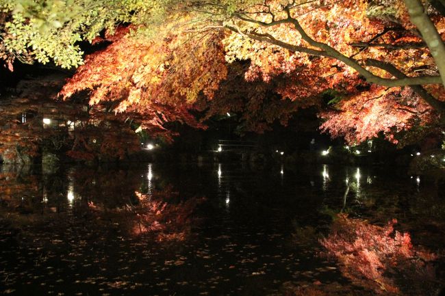 風がなかったので、水面反射してました。<br />写真だと微妙ですが、夜はただの水面反射も幻想的です。