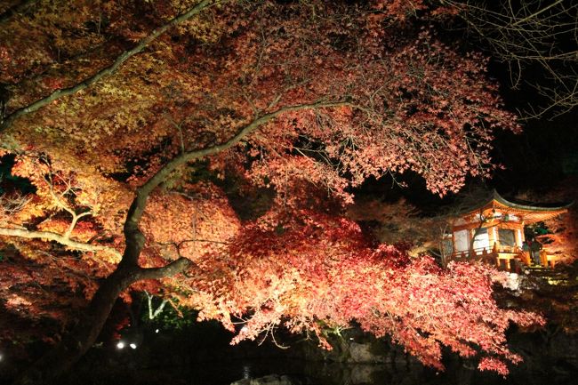 日中に来ても、とても綺麗なんだろうなぁと思います。<br />