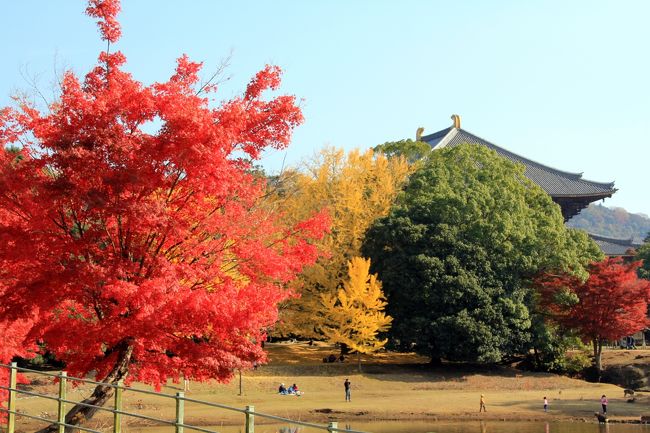 信号！信号！とはしゃぎましたが、今思えば赤と青が逆ですね。<br />ちなみに、奥の建物は大仏殿になります。