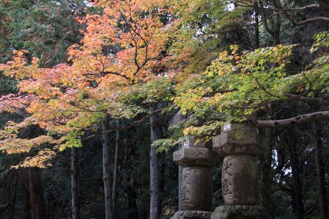 春日大社に行こうかと思いましたが、時間的に厳しかったので断念。<br />春日大社に行くには、時間と気合いが必要です。