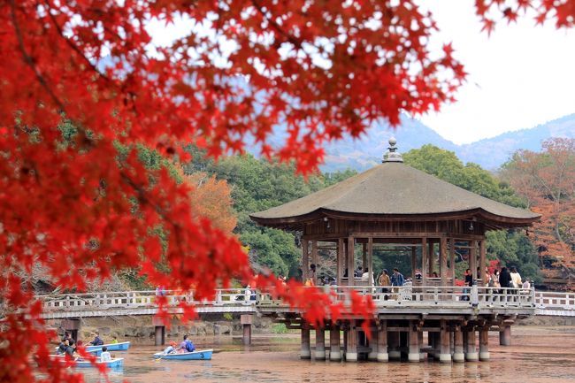 最後に浮見堂。<br />ボートに乗ってる人がたくさんいました。<br />帰りもトラブル続出でしたが、無事に帰ってくることができました。