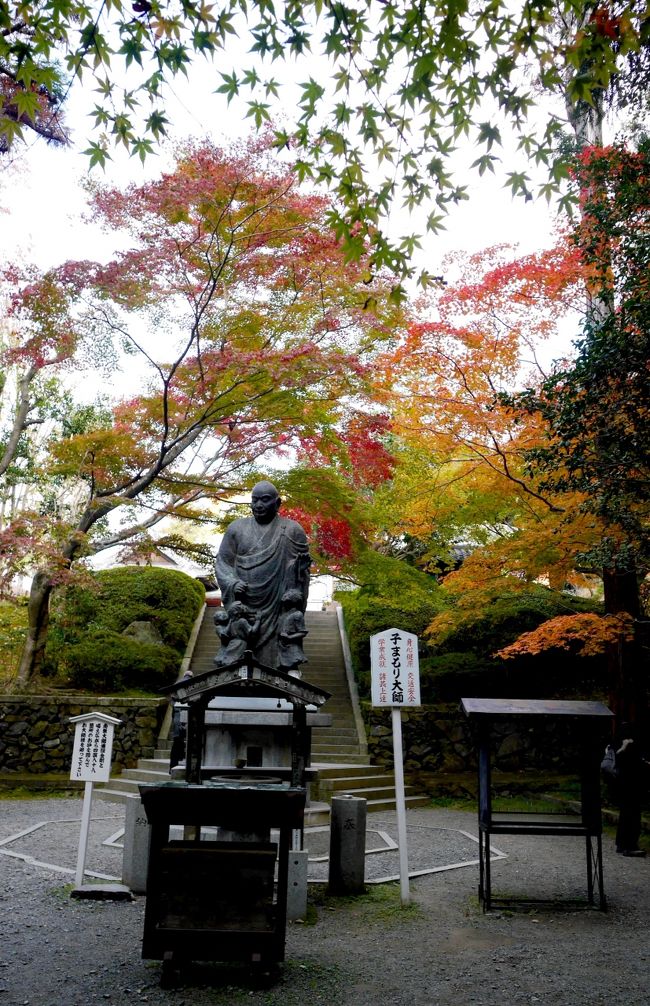 五色の紅葉！すばらしい