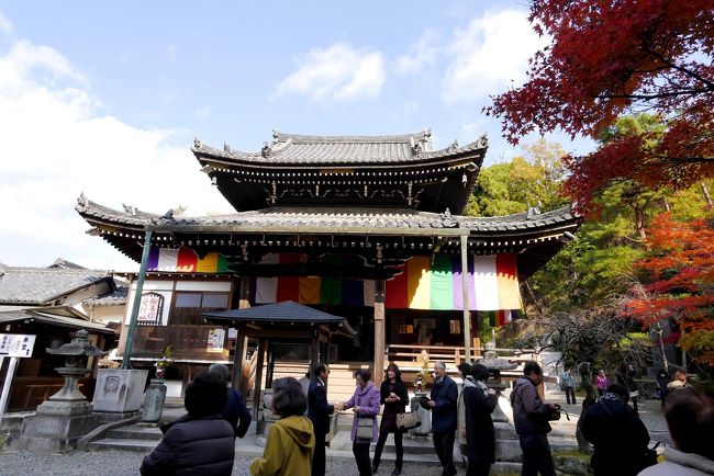 　「子護大師像」の後ろの石段を上がると「本堂」<br />「本堂」は正徳2年(1712年)に宗恕祖元律師によって建立されたものといわれており、寺の規模に比べ二重屋根の堂々とした造りで、かつての大寺の雰囲気を漂わせている。http://www.y-morimoto.com/saigoku/saigoku15a.html