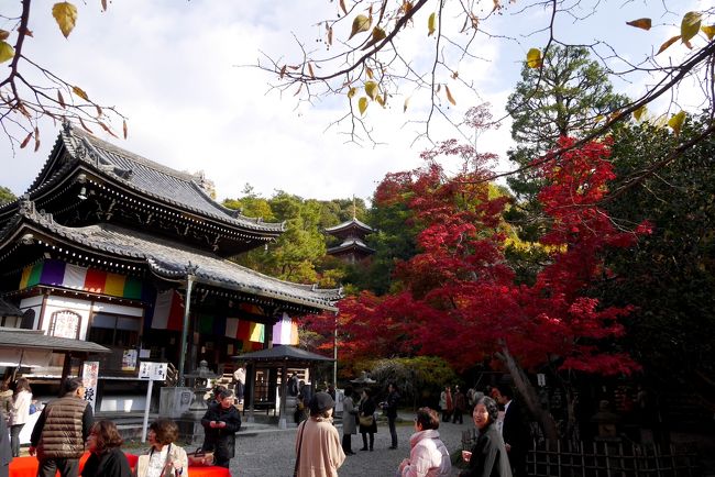 合掌　むこうに多宝塔