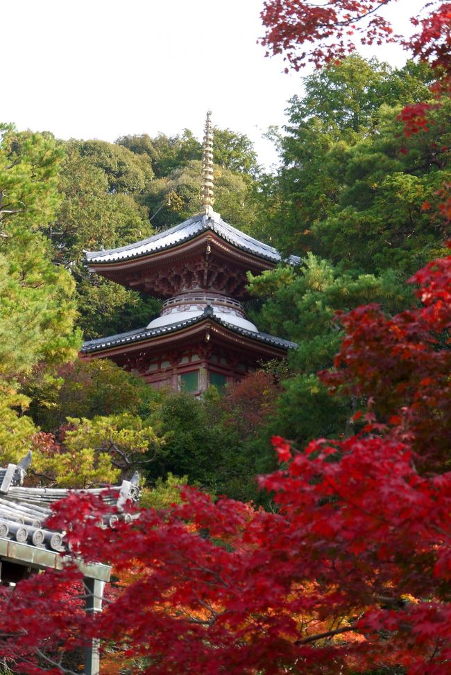 医聖塔ともよばれ医学に功績のあった人を祀る　1984年