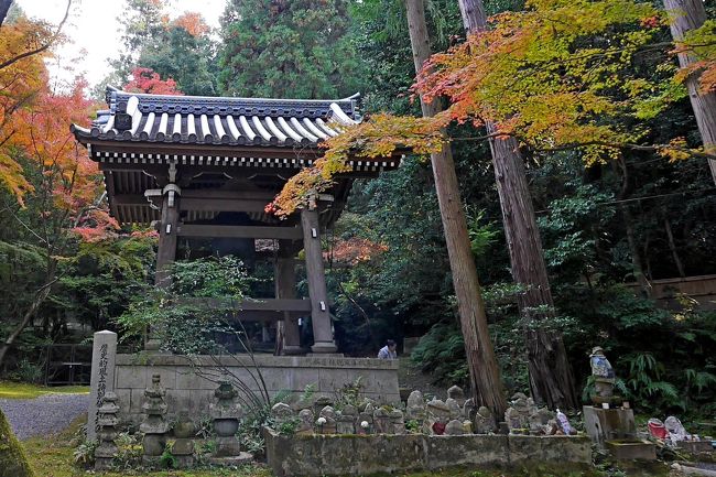 ここもよかったね