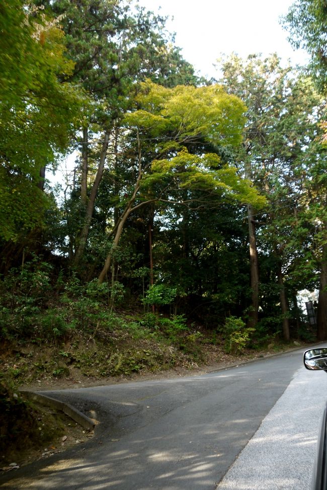 時間がないので1031タクシーで出発