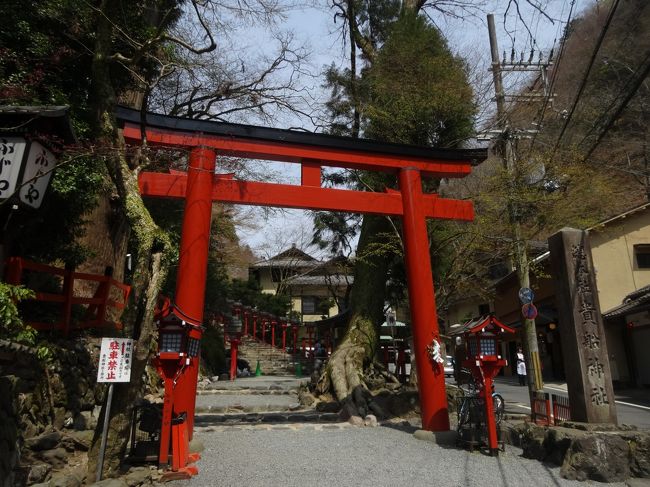 これから参拝します〜