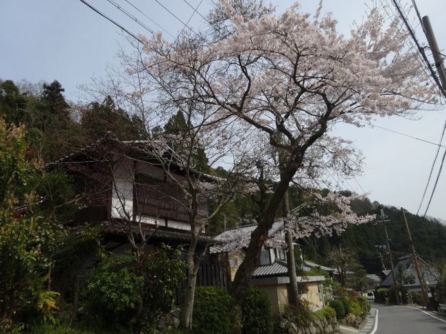 貴船から今日は<br /><br />天気がいいので歩きます。