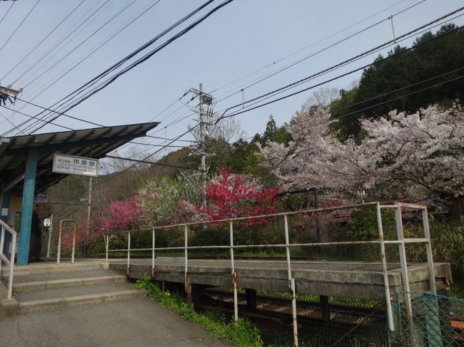 ここから電車乗車。