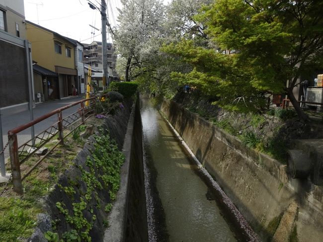 一乗寺に着いて<br /><br />ブラブラ。