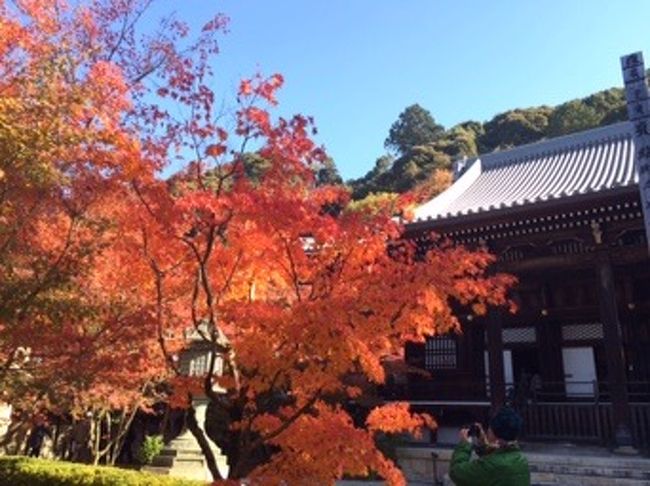 どこでも絵になります