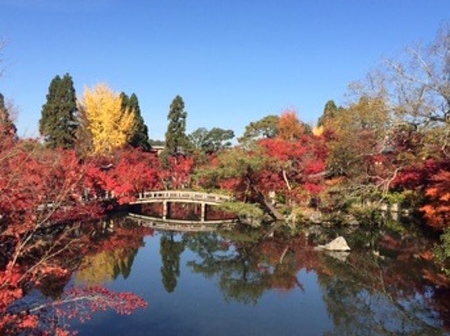 池に映る紅葉もとってもキレイ