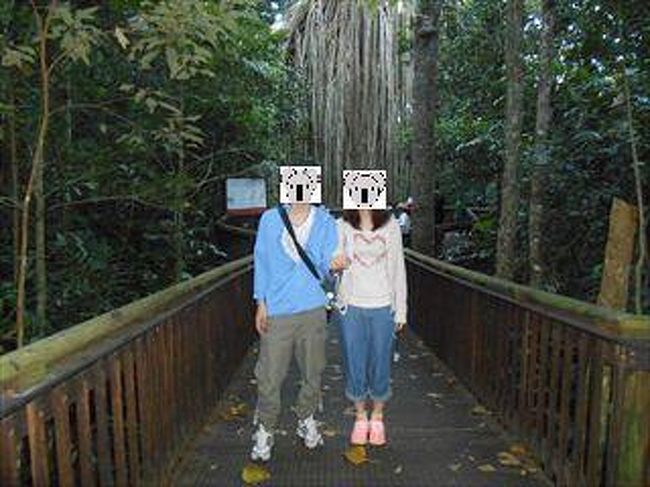 ケアンズ 初めてのオーストラリア旅行 パート５ ケアンズ オーストラリア の旅行記 ブログ By Petankoさん フォートラベル