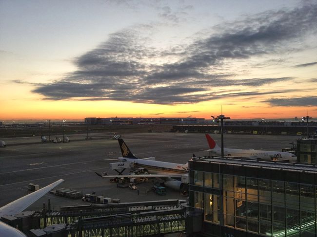 早朝の成田空港。ようやく明らんできた。