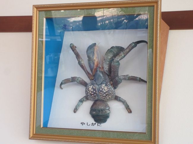 ヤシガニ。