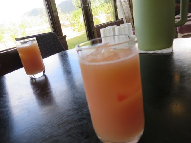 次は、やいま村です。ここに滞在中に午後から参加の方をバス(ANA石垣島号)は空港に出迎えに行かれるのです。<br />私たちは自由時間なので、まずは昼食。これは、サービスされたグアバジュースです。