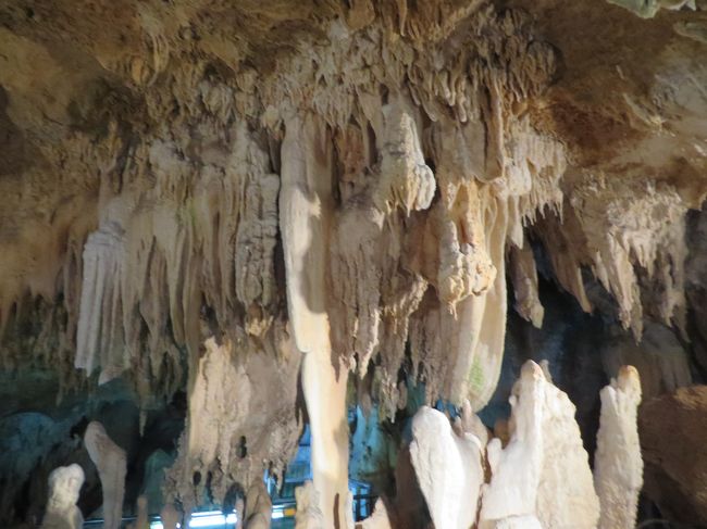 自然の力って凄いですね。まだまだ、これからも変化していくのですもの。