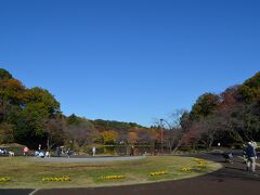 紅葉本番の三ッ池公園

正門駐車場から入っていく。
１１月中から、平日は駐車場が無料になる。夏も無料にして欲しいが。