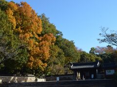 コリア庭園

コリア庭園の前も紅葉。