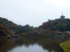 三溪園　(１１月１７日）

紅葉には、やや早い時期の横浜三溪園。
三溪園は、生糸貿易で財をなした原三溪が開園した敷地面積18万平方メートルの広大な純日本庭園。

大池の向こうに三重塔。

