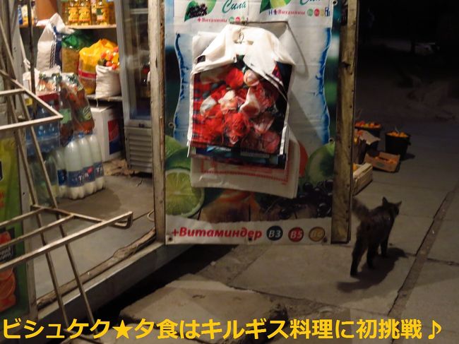 キルギスの猫ちゃん<br /><br />3匹目っ！<br /><br />後姿だけしかとらえることができませんでした…